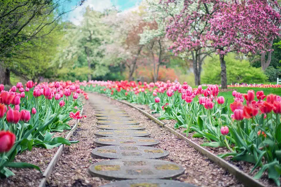 Comment bien aménager un grand jardin ?